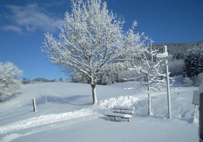 Winter-Wunderland Aselfingen